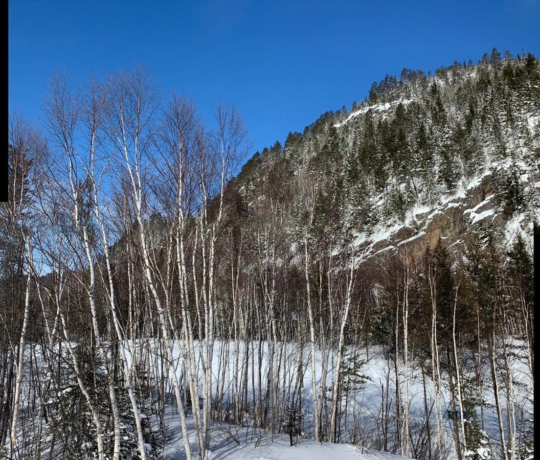 Condo Mont-Edouard LʼAnse-Saint-Jean Zewnętrze zdjęcie